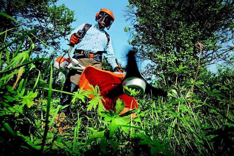 Landscaping Image